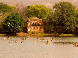 Ranthambore