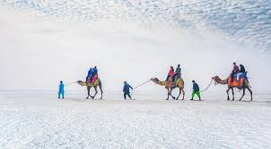 Rann Of Kutch